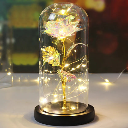 Romantische Kaarsen met Timeless Design
