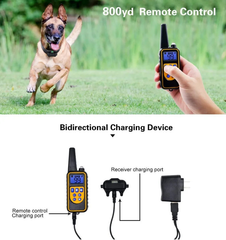 Honden E-halsband Elektrisch Trainen met Afstandsbediening