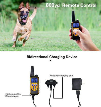 Honden E-halsband Elektrisch Trainen met Afstandsbediening
