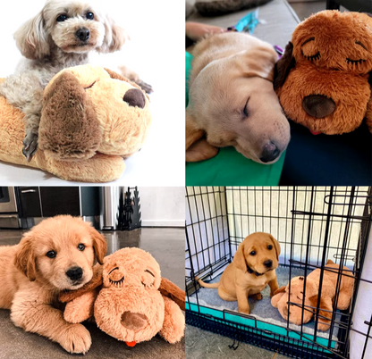Knuffelmaatje Comfortabele Knuffel voor Emotionele Steun