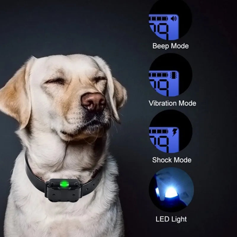 Honden E-halsband Elektrisch Trainen met Afstandsbediening