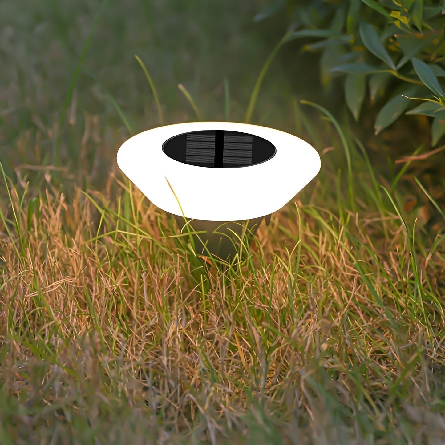 Draadloze Solar Tuinverlichting Set LED voor Tuin en Oprit