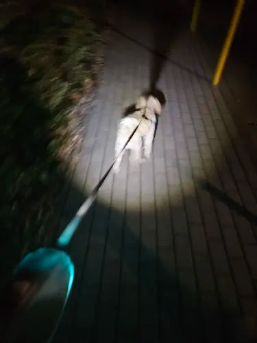LED Hondenriem voor Nachtelijke Wandelingen Veilig en Zichtbaar