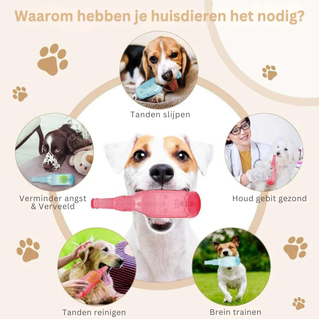 Hondenspeelgoed Set voor Huisdieren Speelkameraad