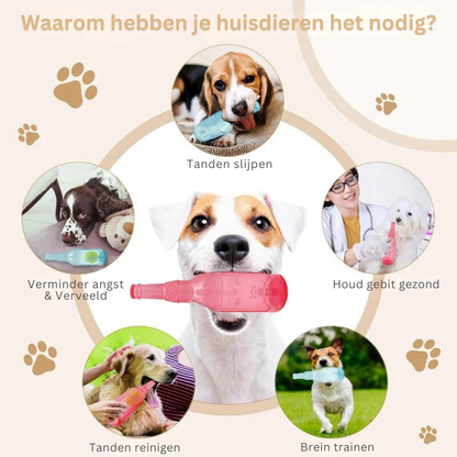 Hondenspeelgoed Set voor Huisdieren Speelkameraad