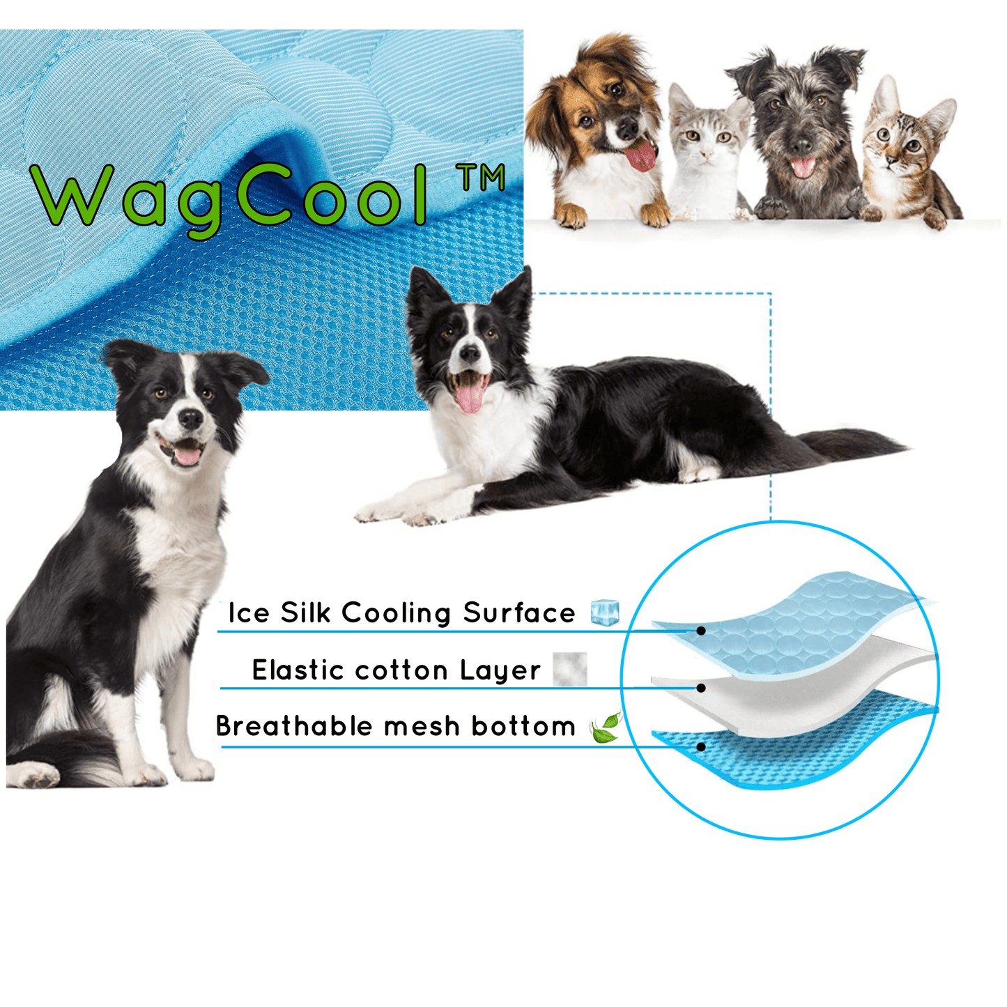 Koelmat voor Honden Verkoelend en Comfortabel
