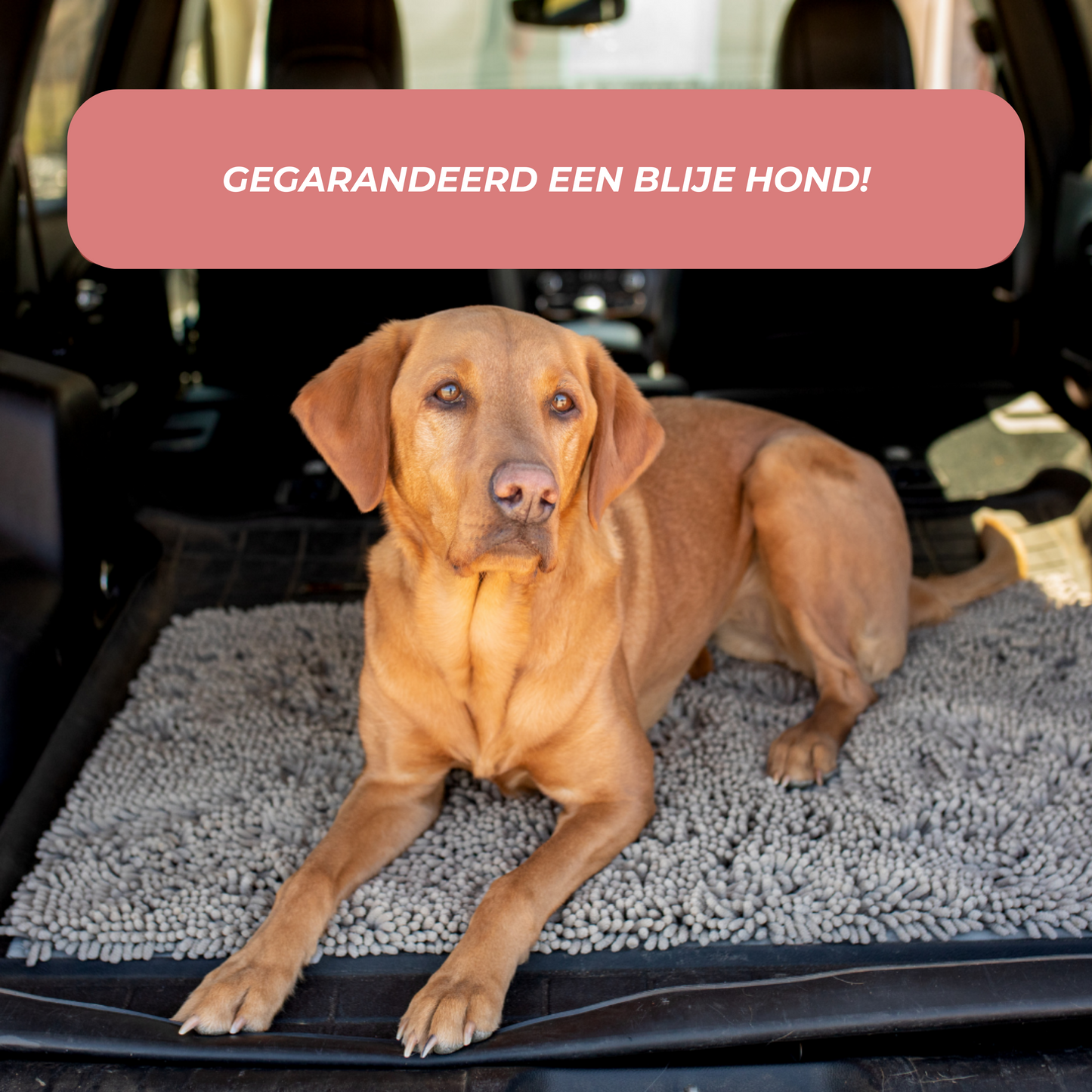 Hondenmat Antislip Wasbaar Duurzaam voor Alle Vloeren