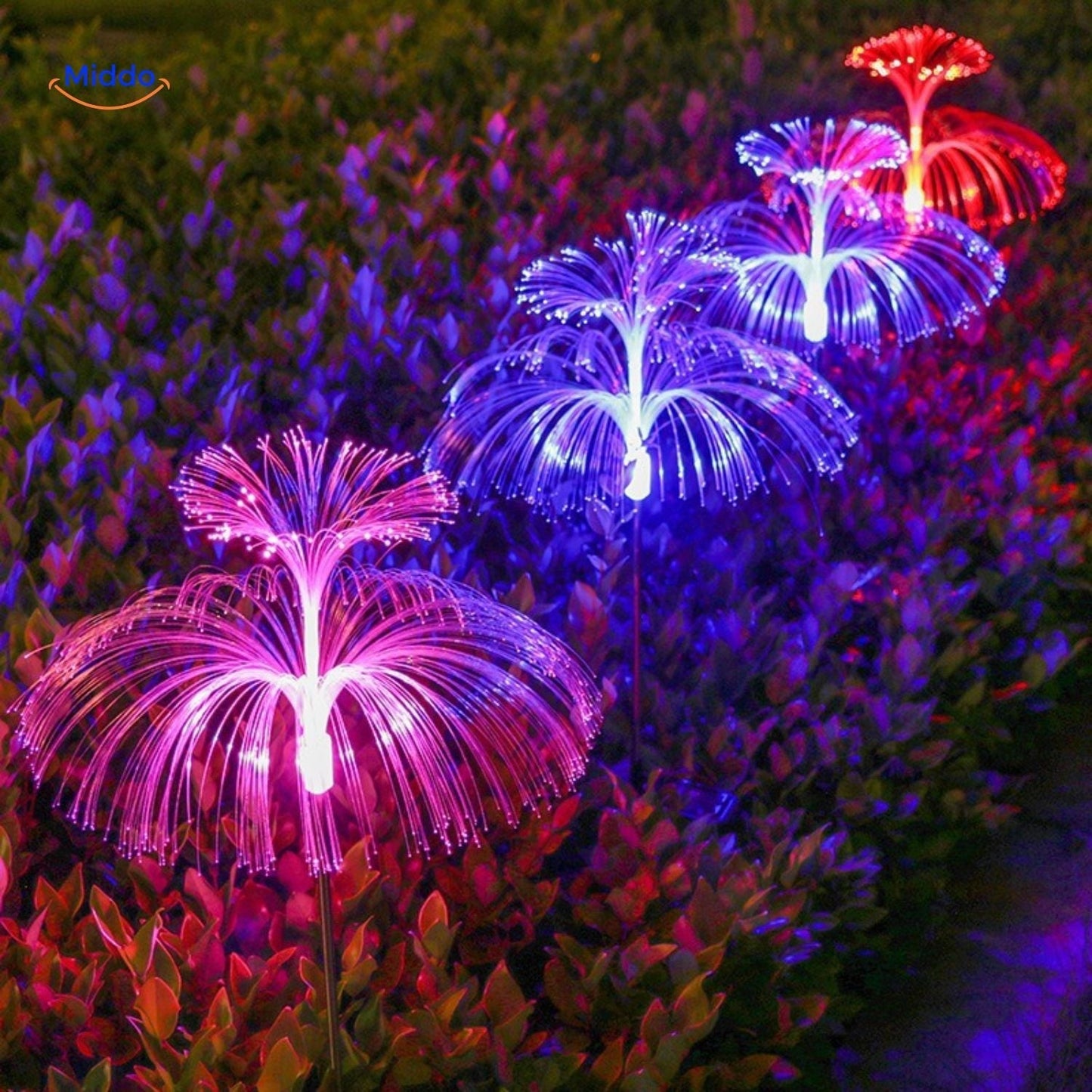 Kleurrijke Zonnelampen voor de Tuin met LED-verlichting