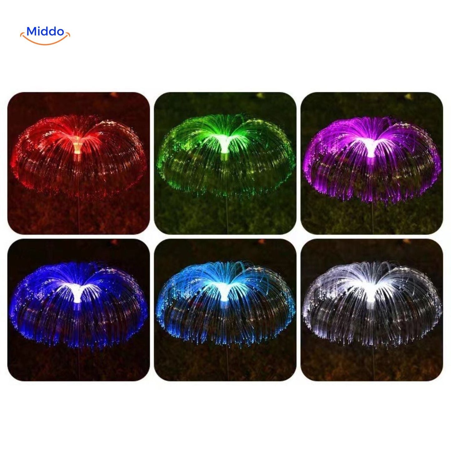 Kleurrijke Zonnelampen voor de Tuin met LED-verlichting