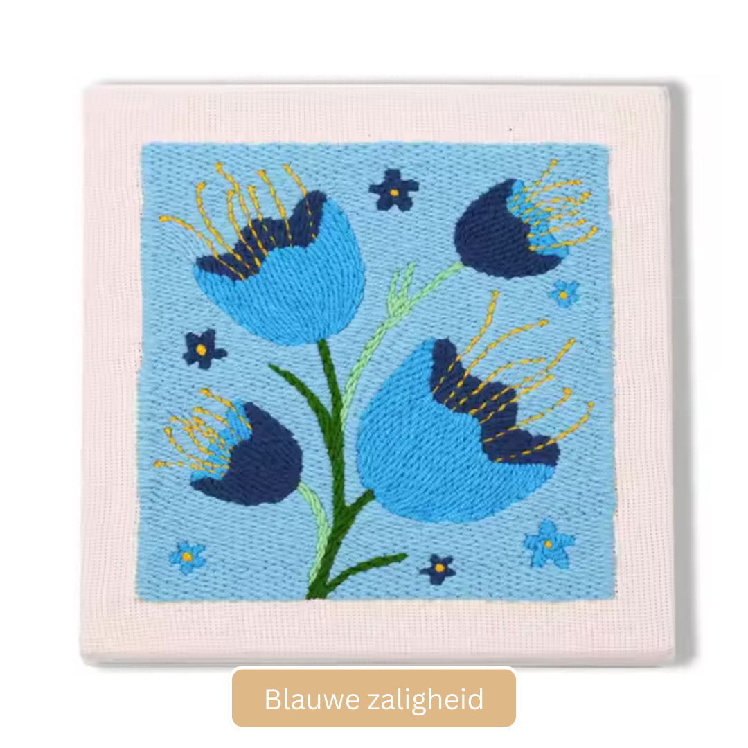 Brei en Haakbenodigdheden voor Beginners en Experts