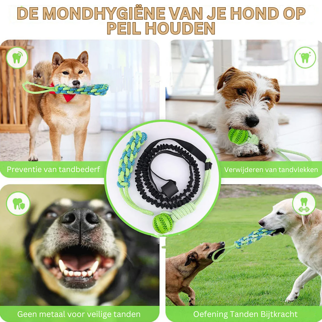 Hondenspeeltje voor uren speelplezier en beweging