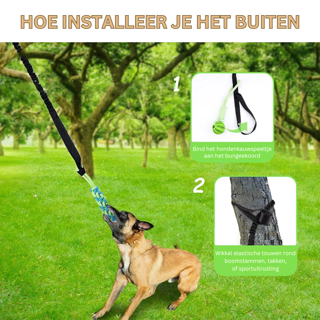 Hondenspeeltje voor uren speelplezier en beweging
