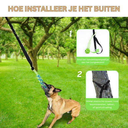 Hondenspeeltje voor uren speelplezier en beweging