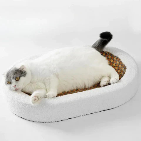 Kattenkrabpaal van hout en sisal met rustoppervlak – Voor katten in huis 2