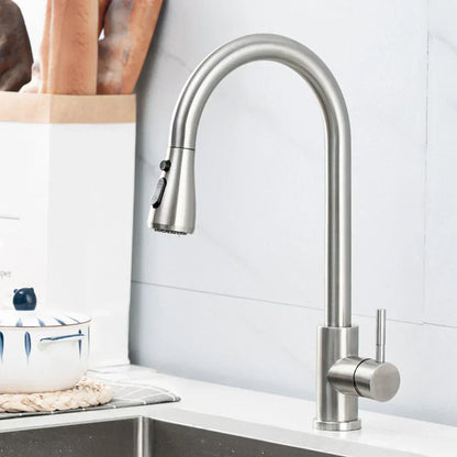 Keukenkraan Met Uittrekbare Sproeikop RVS Modern Design