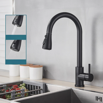 Keukenkraan Met Uittrekbare Sproeikop RVS Modern Design