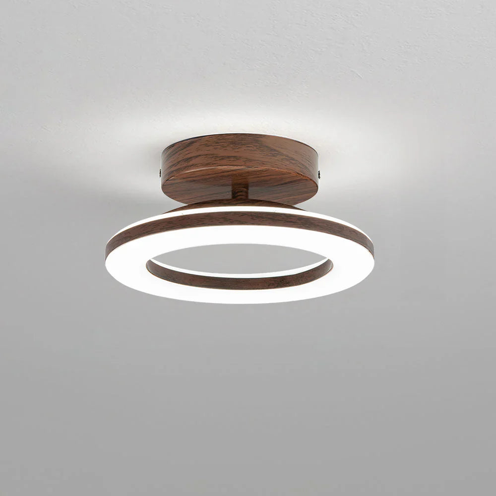 Ronde LED Plafondlamp Acryl Modern voor Hal en Entree