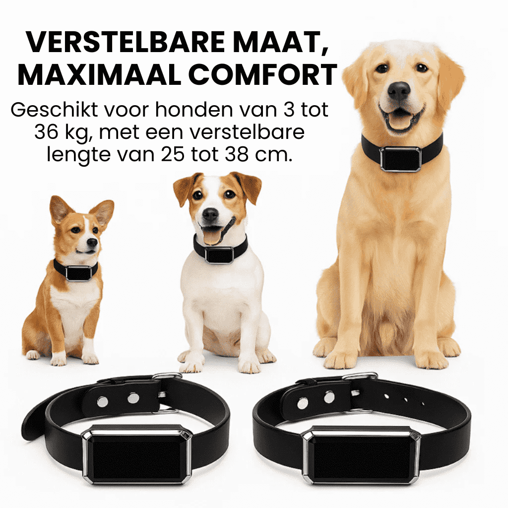 LumiTrack™ – GPS Halsband Hond Zonder Abonnement & Realtime Tracking