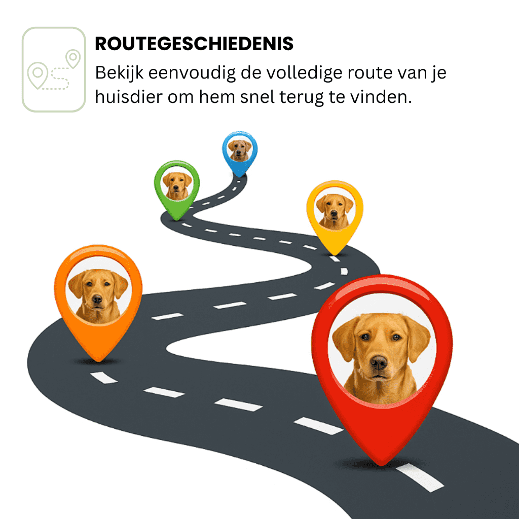 LumiTrack™ – GPS Halsband Hond Zonder Abonnement & Realtime Tracking