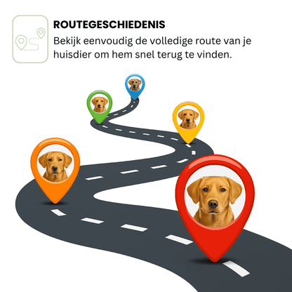 LumiTrack™ – GPS Halsband Hond Zonder Abonnement & Realtime Tracking