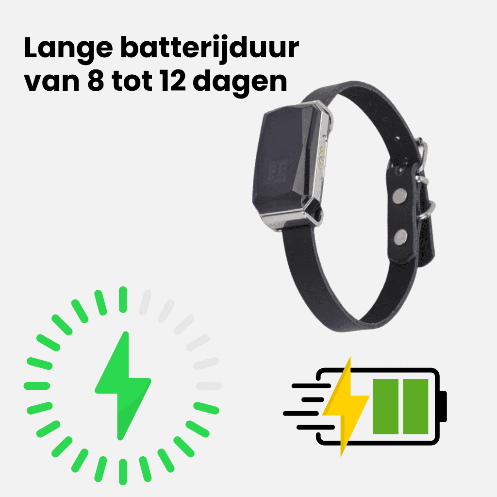 LumiTrack™ – GPS Halsband Hond Zonder Abonnement & Realtime Tracking
