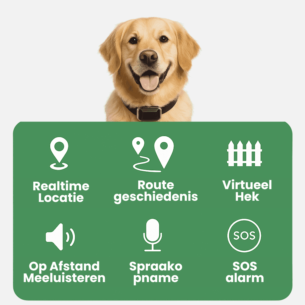 LumiTrack™ – GPS Halsband Hond Zonder Abonnement & Realtime Tracking
