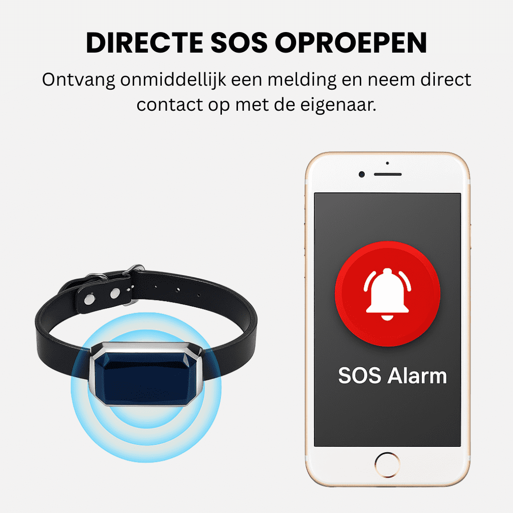 LumiTrack™ – GPS Halsband Kat Zonder Abonnement met Realtime Tracking & Zonealarm