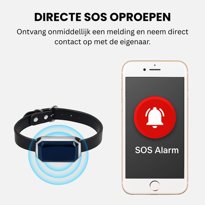 LumiTrack™ – GPS Halsband Kat Zonder Abonnement met Realtime Tracking & Zonealarm