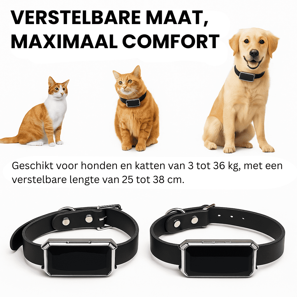 LumiTrack™ – GPS Halsband Kat Zonder Abonnement met Realtime Tracking & Zonealarm