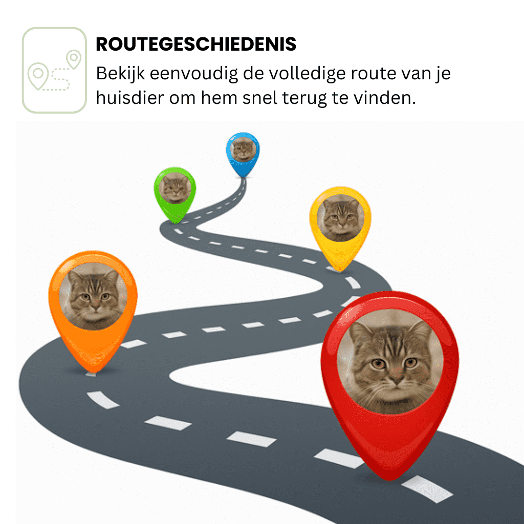 LumiTrack™ – GPS Halsband Kat Zonder Abonnement met Realtime Tracking & Zonealarm