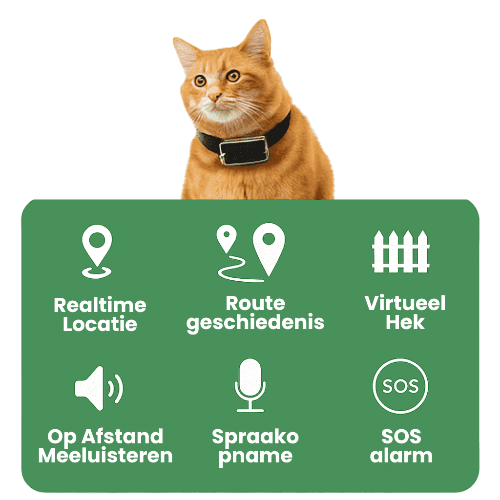 LumiTrack™ – GPS Halsband Kat Zonder Abonnement met Realtime Tracking & Zonealarm