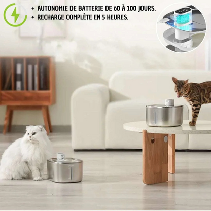 Marcherelle™ – 4L draadloze kattenwaterfontein, batterij met lange levensduur 1