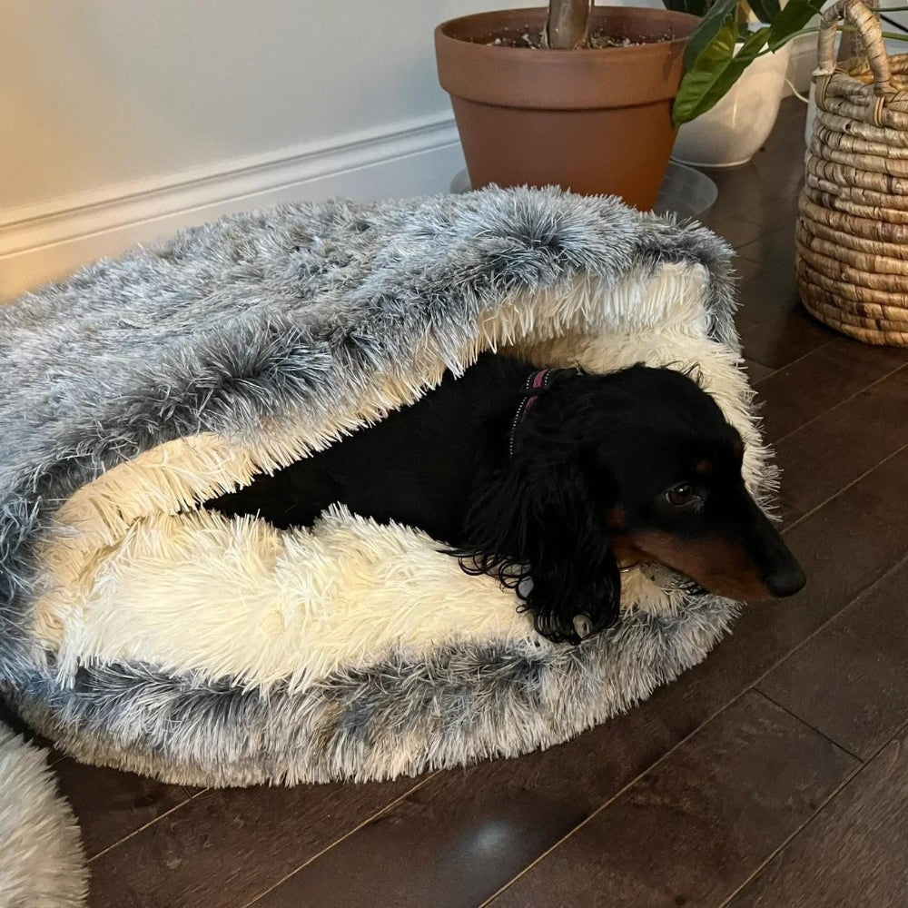 Marcherelle™ – Gezellig huisdierbed, comfortabel en zeer gewaardeerd 2