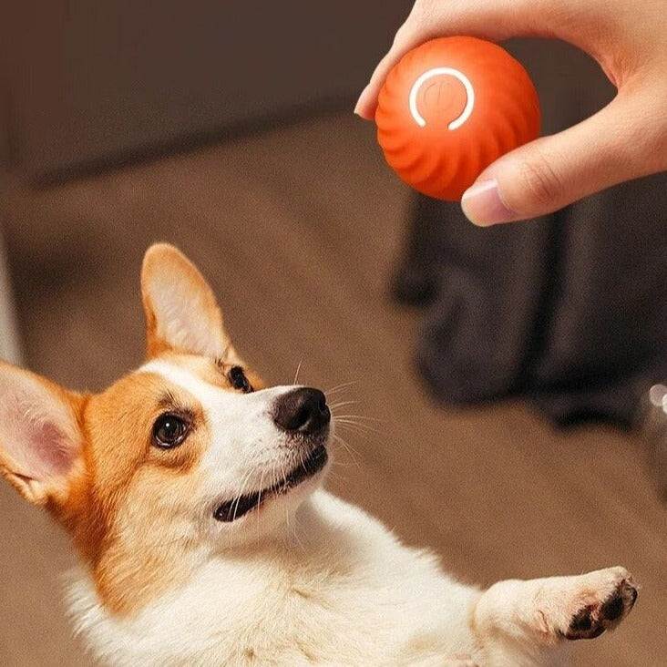 Interactieve Happende Bal voor Honden