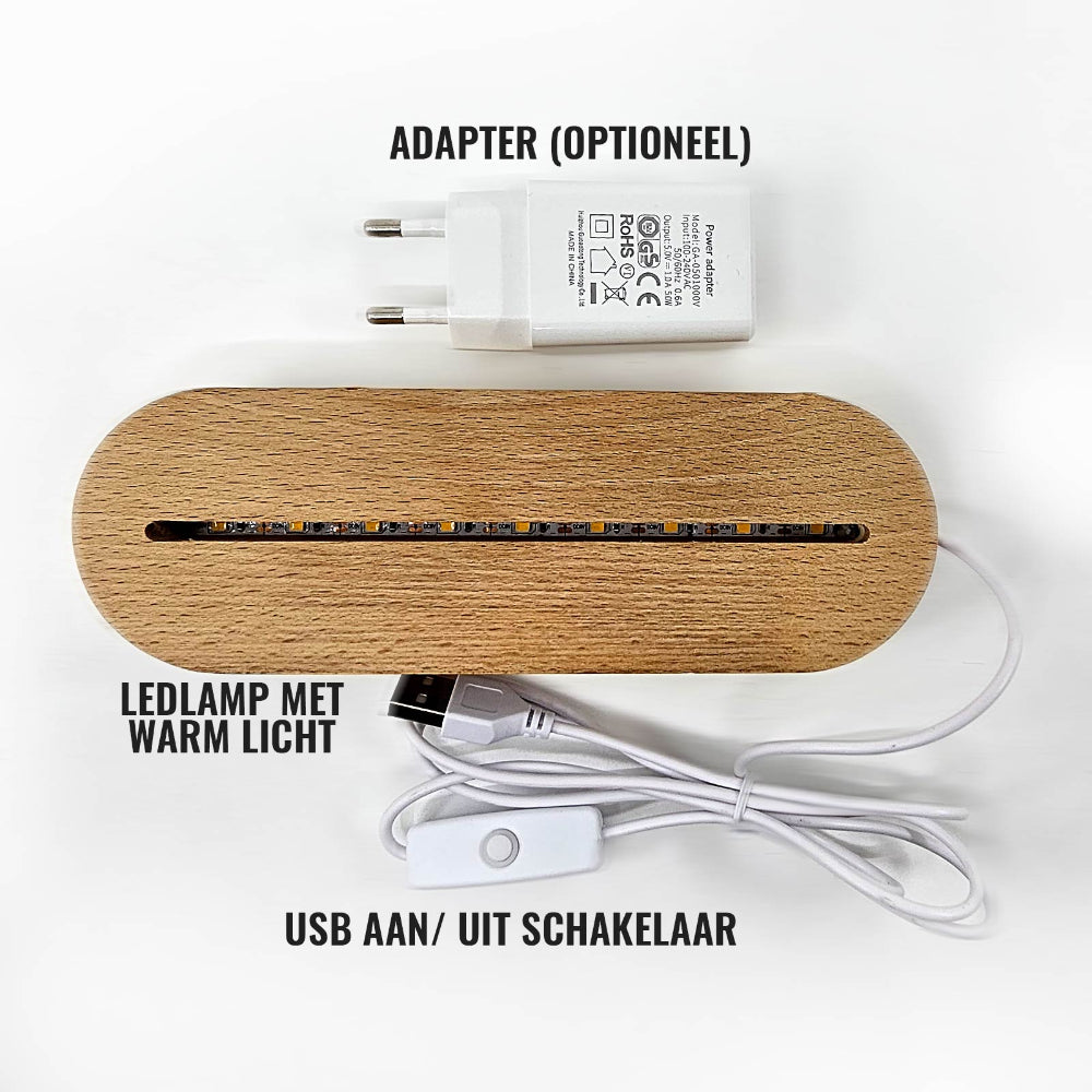 Kinderkamer Nachtlampje Houten Dier LED Lamp
