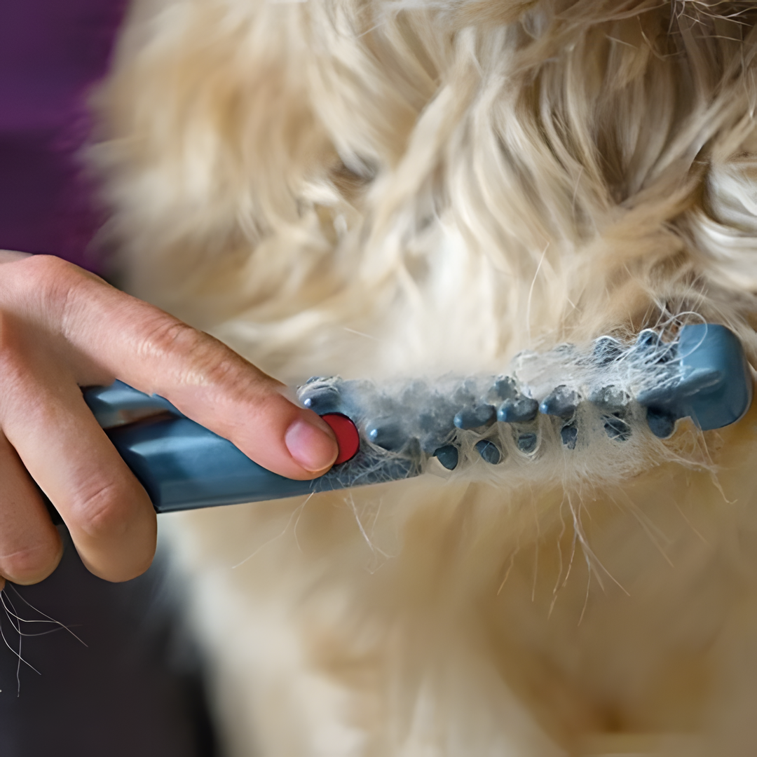 Halsband Zonder Knopen voor Huisdieren Makkelijk aan te doen