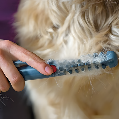 Halsband Zonder Knopen voor Huisdieren Makkelijk aan te doen