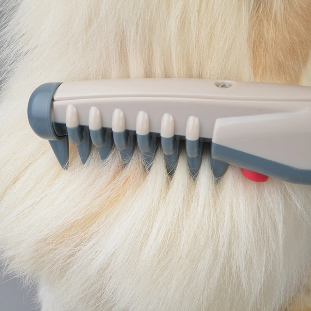 Halsband Zonder Knopen voor Huisdieren Makkelijk aan te doen