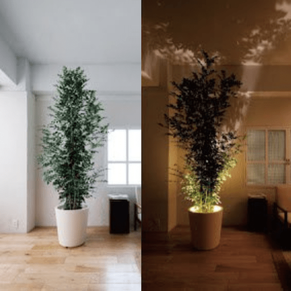 Compacte LED Projectorlamp met Sterk Licht