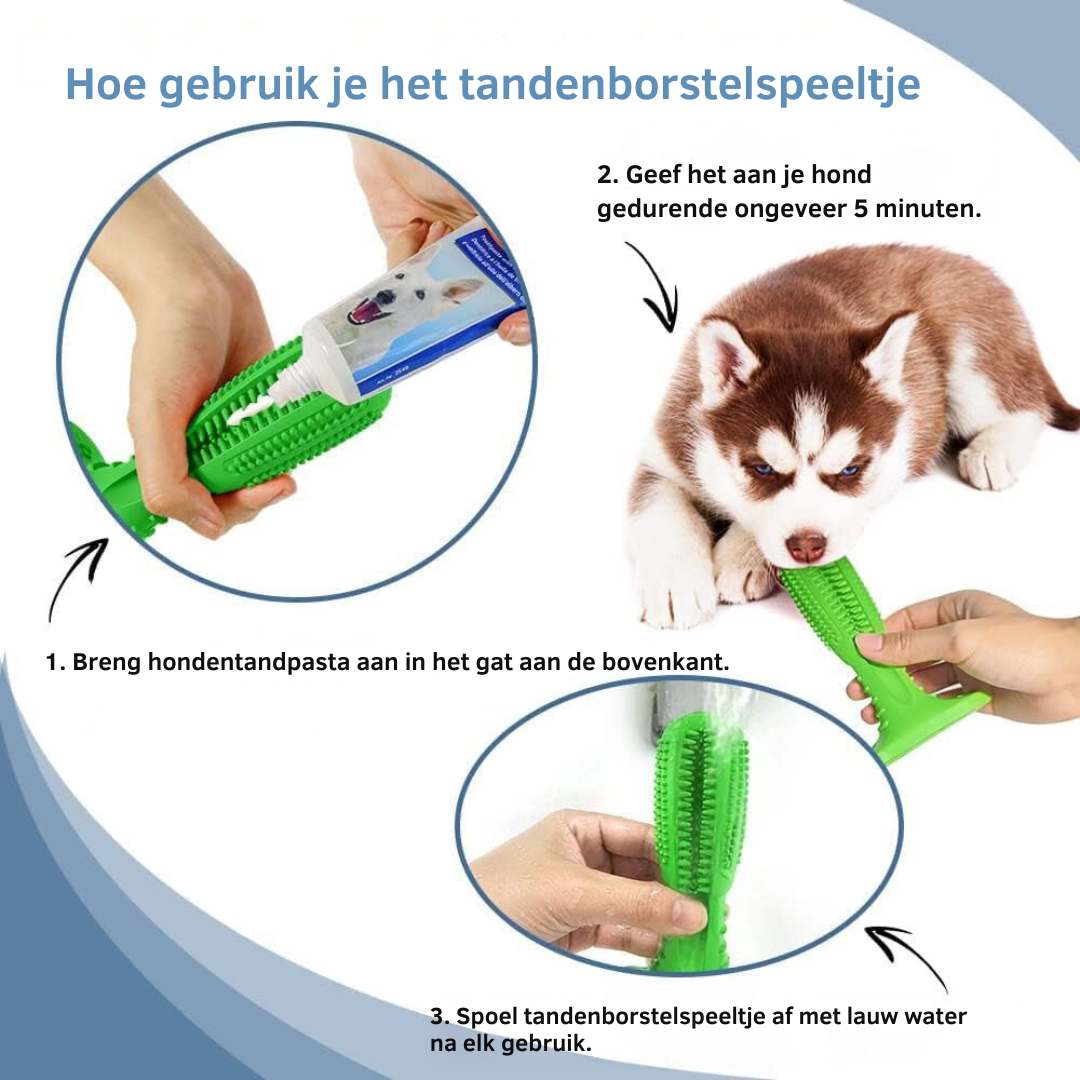 Hondentandenborstel van Natuurrubber voor Gezonde Tanden en Frisse Adem