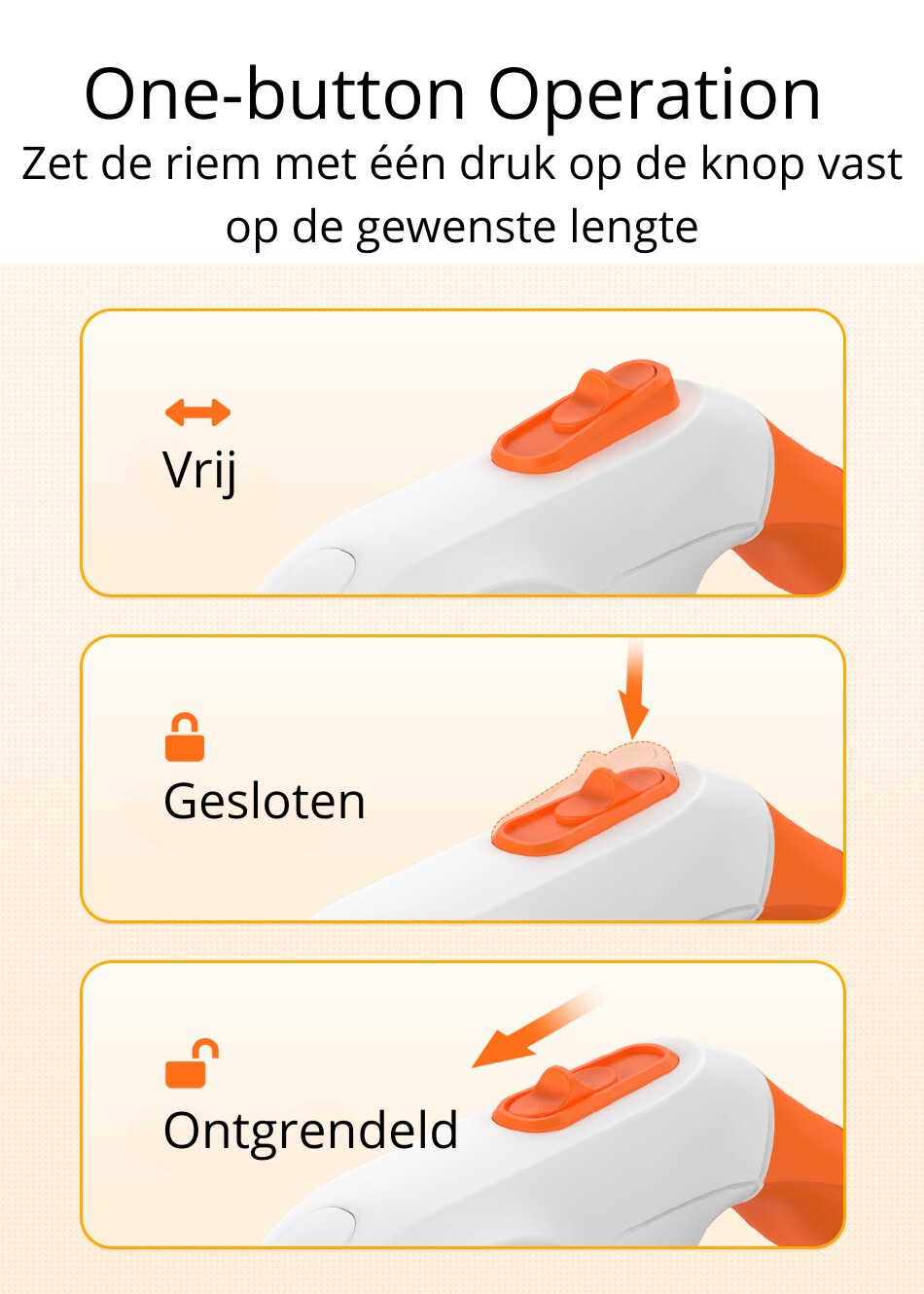 LED Hondenriem voor Nachtelijke Wandelingen Veilig en Zichtbaar