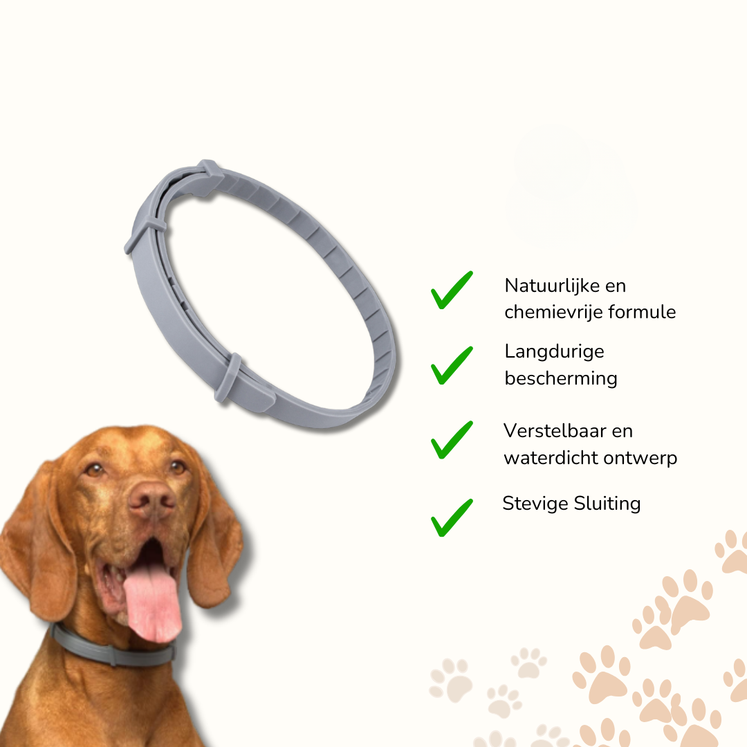 Verstelbare Halsband voor Hond en Kat Waterdicht en Chemievrij