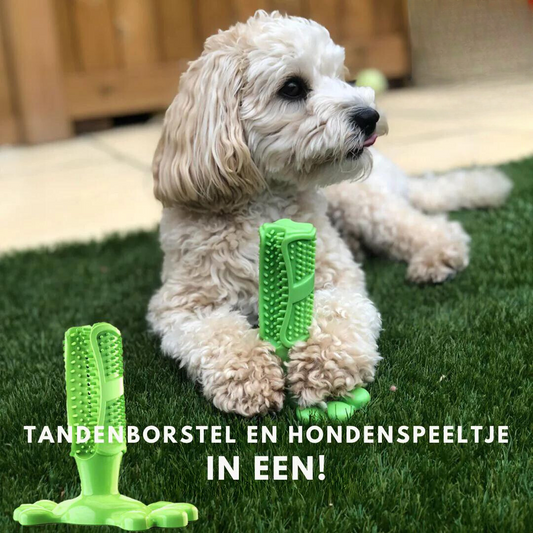 Hondentandenborstel van Natuurrubber voor Gezonde Tanden en Frisse Adem - Velinix