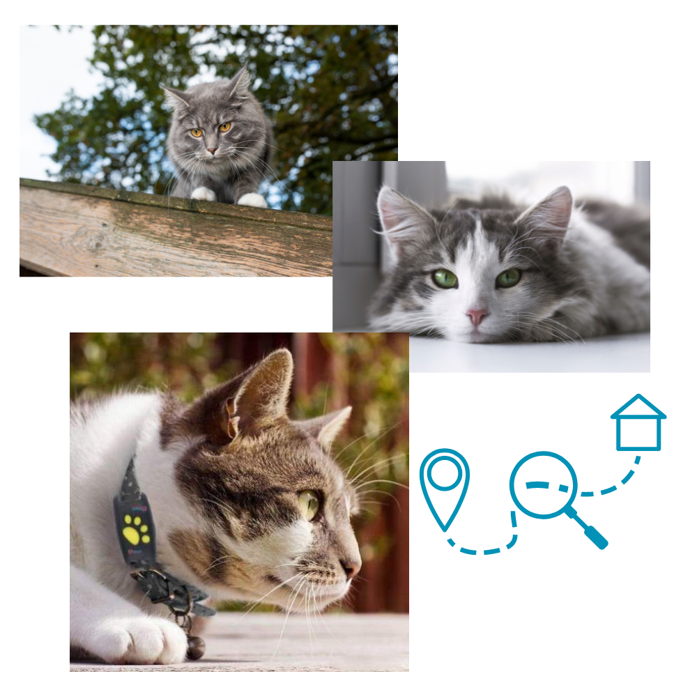GPS Halsband Tracker voor Huisdieren