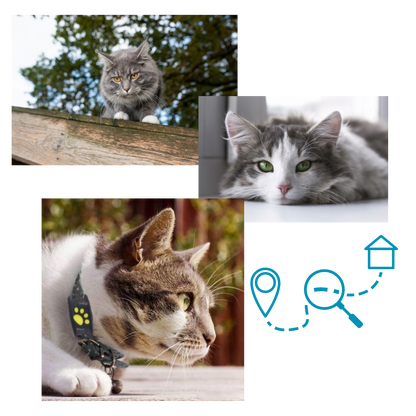 GPS Halsband Tracker voor Huisdieren