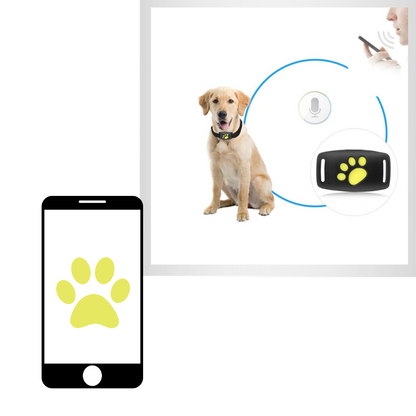 GPS Halsband Tracker voor Huisdieren