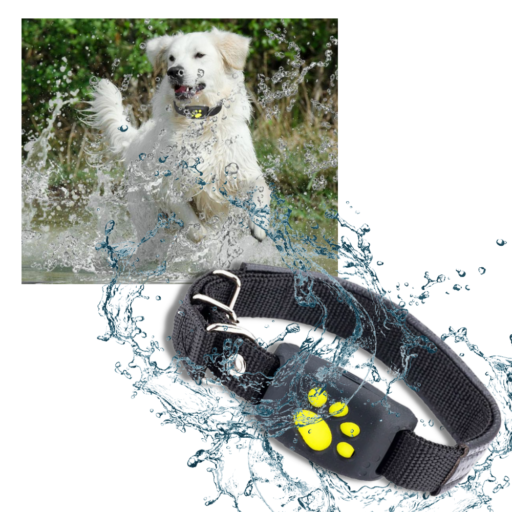 GPS Halsband Tracker voor Huisdieren