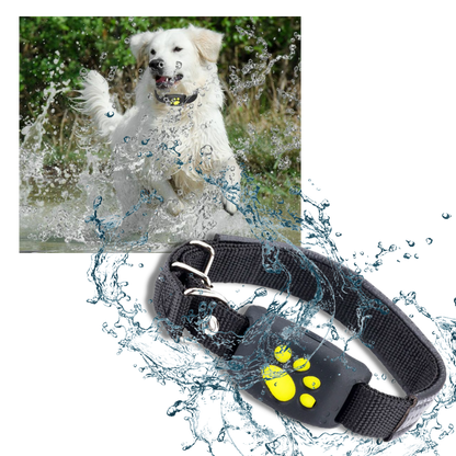 GPS Halsband Tracker voor Huisdieren