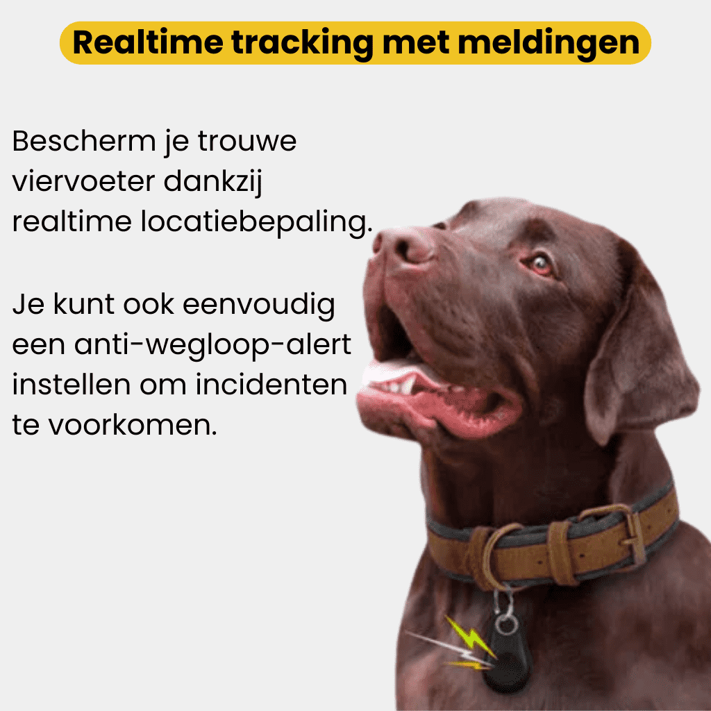 PawTrack™ – GPS Tracker Hond Zonder Abonnement met Live Locatie & Zonealarm