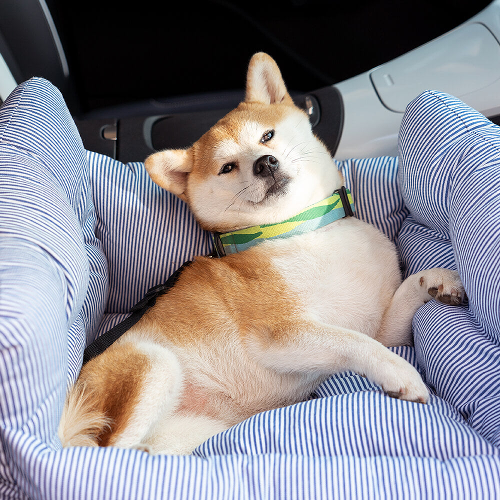 PawVoyage™ Luxe Hondenmand voor in de Auto – 46x42x34 cm